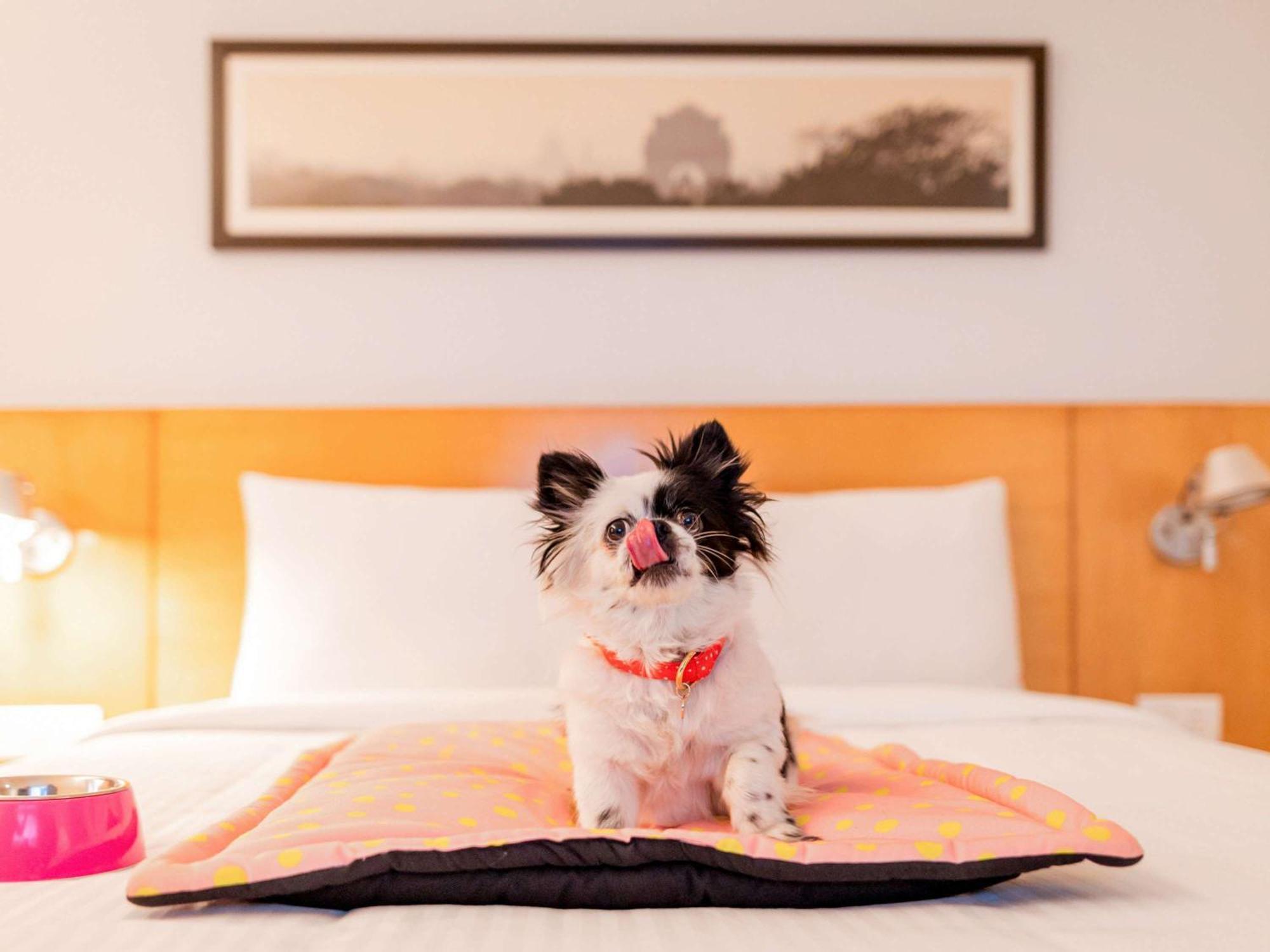 ไอบิส เจนไน ซิตี้เซ็นเตอร์ - แอน แอคคอร์ แบรนด์ Hotel เชนไน ภายนอก รูปภาพ